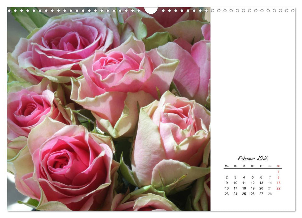 Die vielen Gesichter der Rosen (CALVENDO Wandkalender 2026)