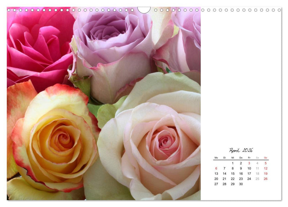 Die vielen Gesichter der Rosen (CALVENDO Wandkalender 2026)