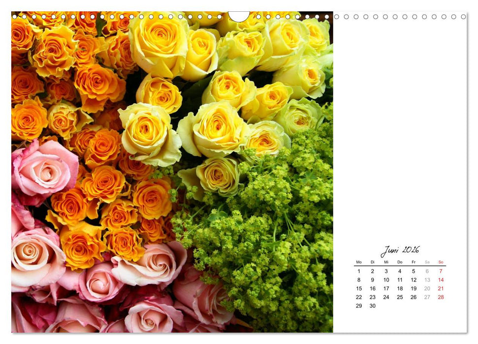 Die vielen Gesichter der Rosen (CALVENDO Wandkalender 2026)
