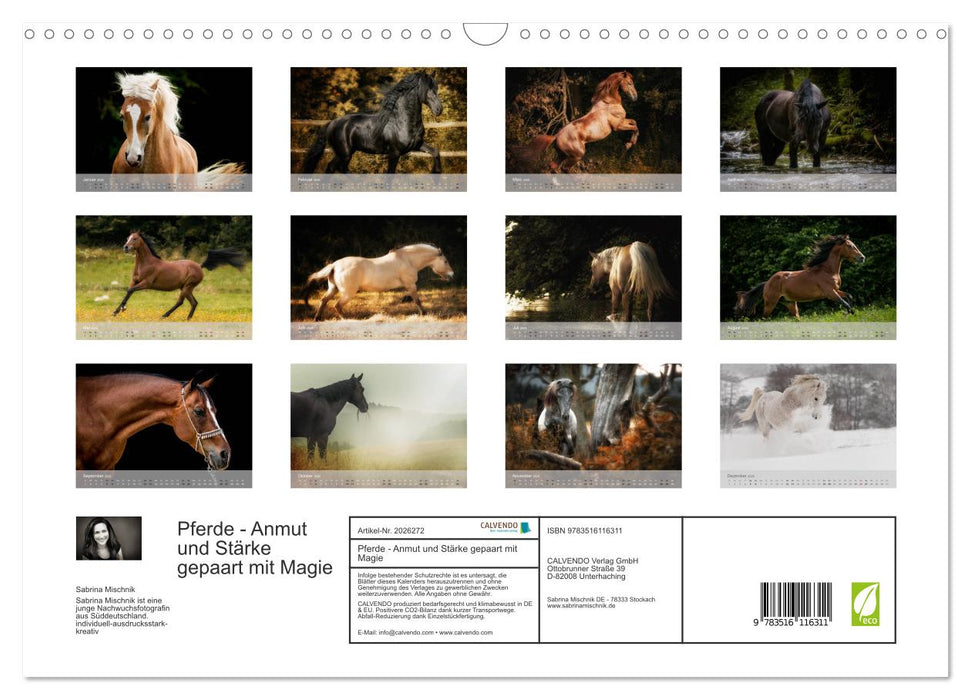 Pferde - Anmut und Stärke gepaart mit Magie (CALVENDO Wandkalender 2026)