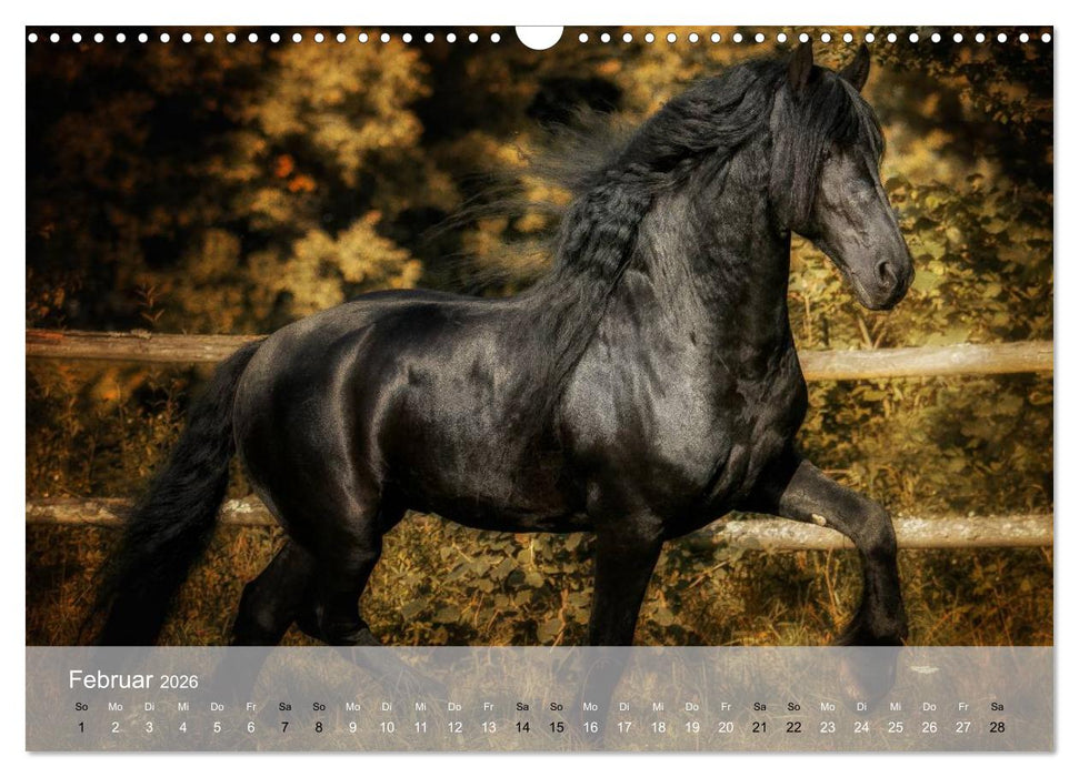 Pferde - Anmut und Stärke gepaart mit Magie (CALVENDO Wandkalender 2026)