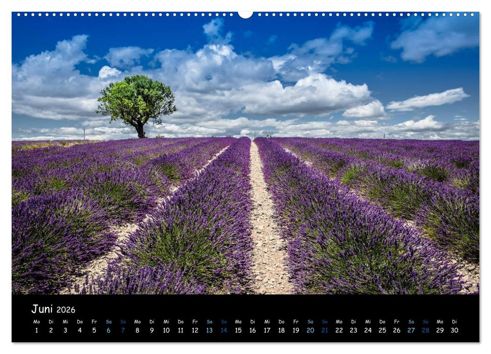 Provence - Lavendelblüte (CALVENDO Wandkalender 2026)