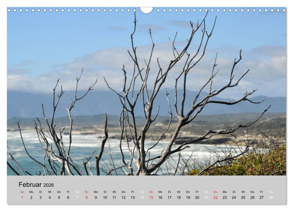 Momente in Südafrika (CALVENDO Wandkalender 2026)