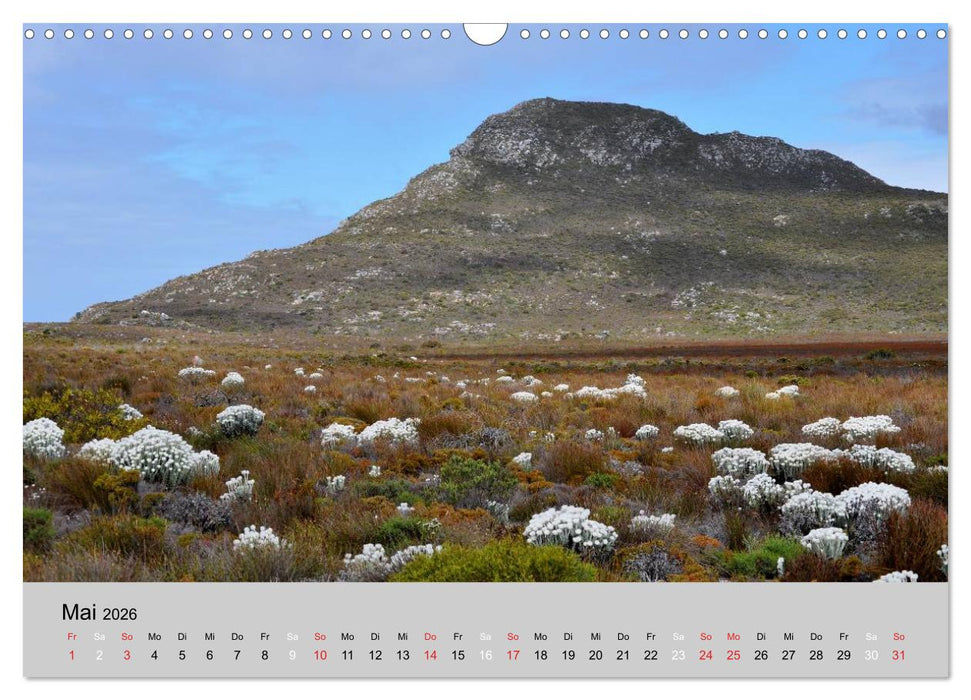 Momente in Südafrika (CALVENDO Wandkalender 2026)