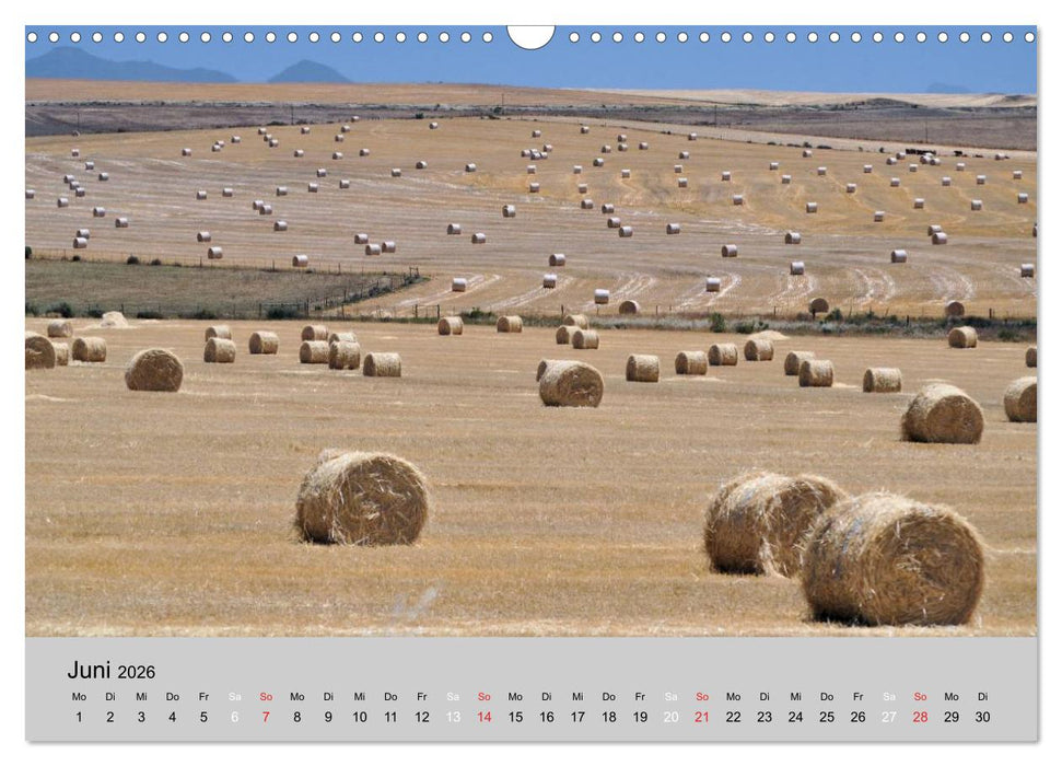 Momente in Südafrika (CALVENDO Wandkalender 2026)