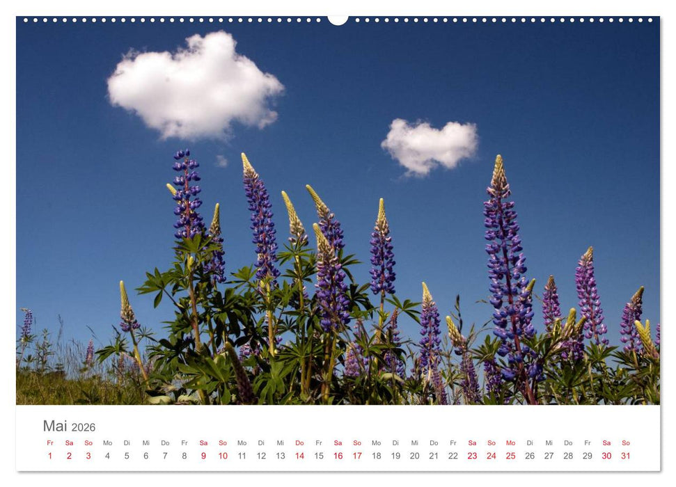 Nordisch gut - Schweden (CALVENDO Wandkalender 2026)