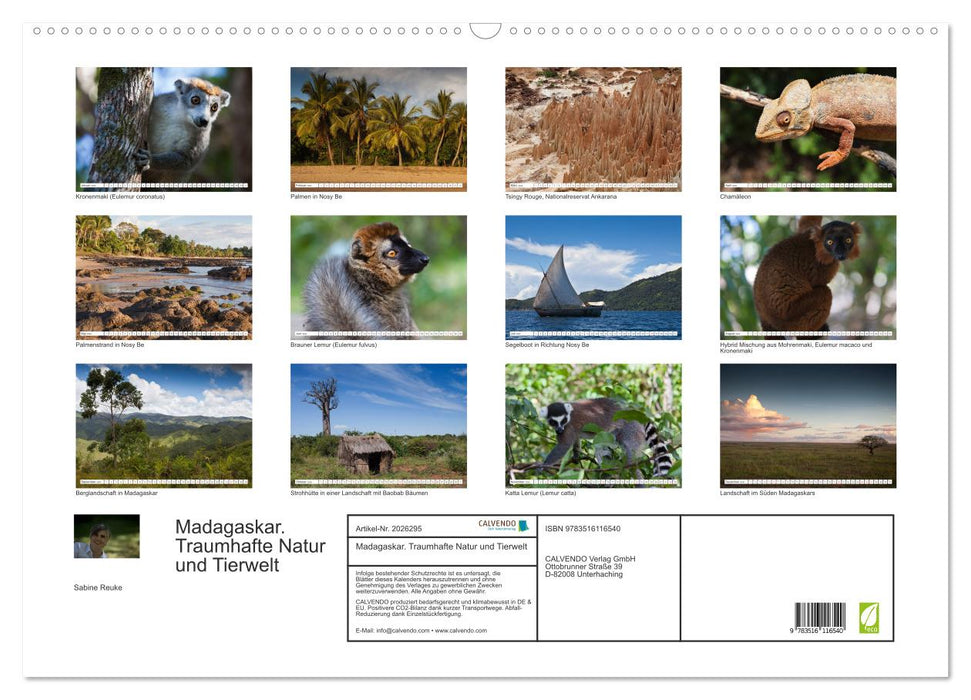 Madagaskar. Traumhafte Natur und Tierwelt (CALVENDO Wandkalender 2026)