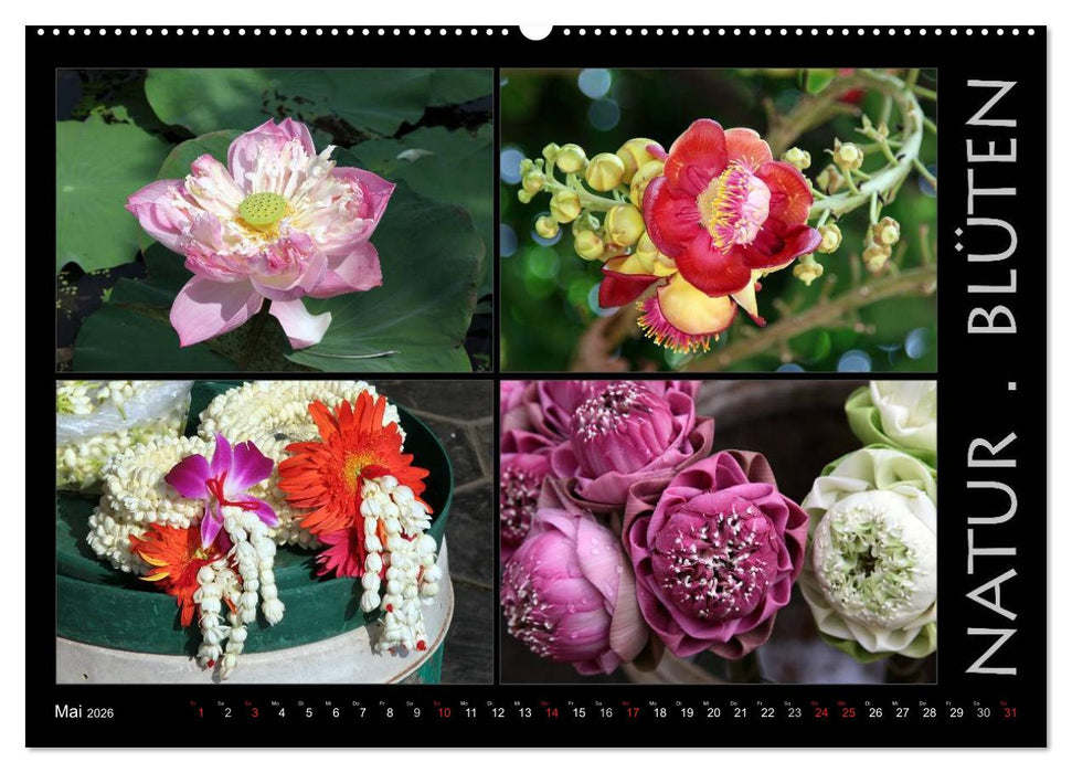 Kambodscha - Highlights aus Asien 2026 (CALVENDO Wandkalender 2026)