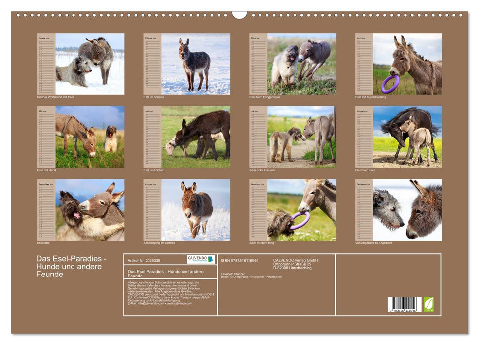 Das Esel-Paradies - Hunde und andere Feunde (CALVENDO Wandkalender 2026)