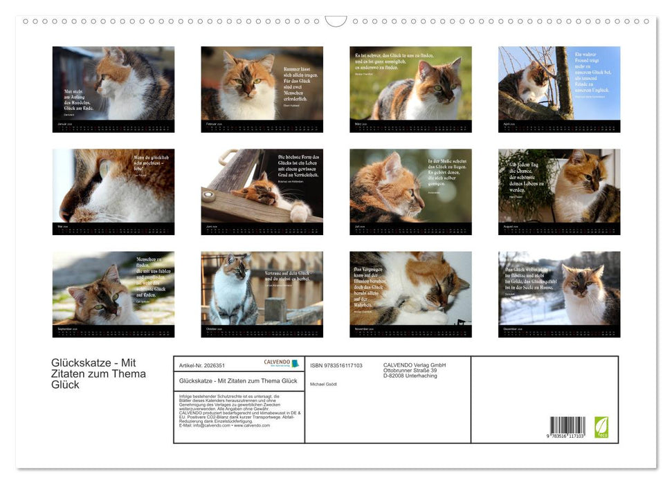 Glückskatze - Mit Zitaten zum Thema Glück (CALVENDO Wandkalender 2026)