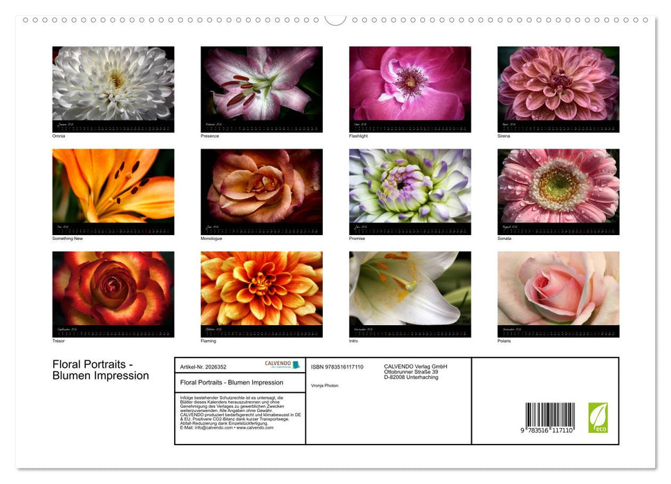 Floral Portraits - Blumen Impression (CALVENDO Premium Wandkalender 2026)