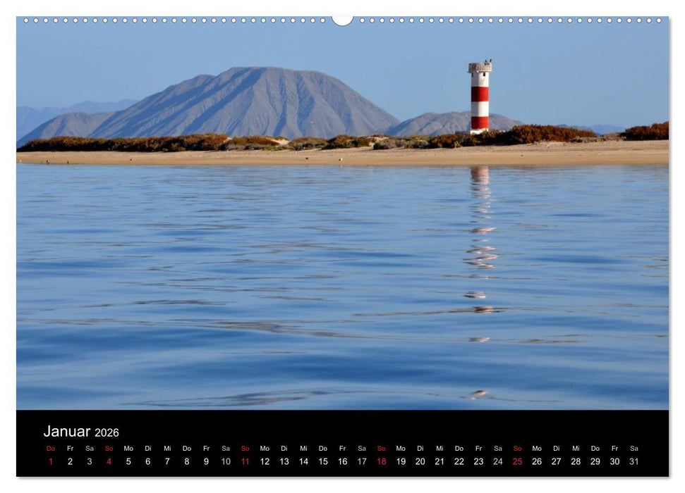 Baja California - Impressionen der mexikanischen Halbinsel (CALVENDO Premium Wandkalender 2026)