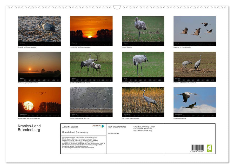 Kranich-Land Brandenburg (CALVENDO Wandkalender 2026)