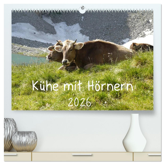 Kühe mit Hörnern (CALVENDO Premium Wandkalender 2026)