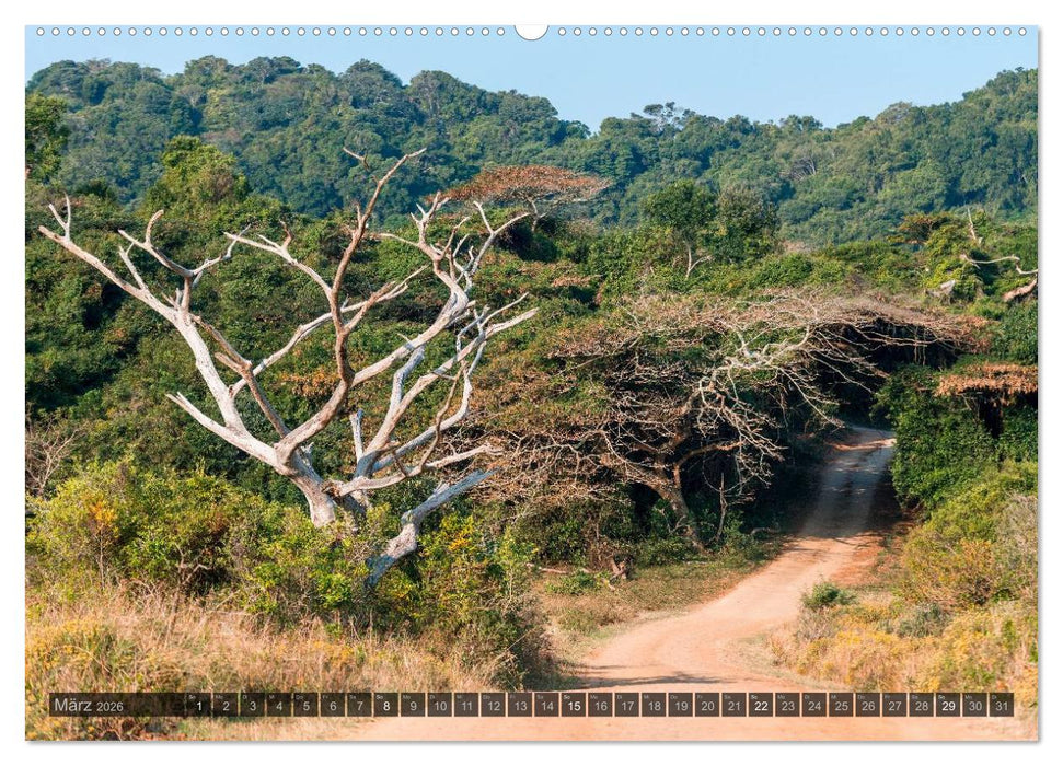 Südafrika - Die Landschaft (CALVENDO Wandkalender 2026)