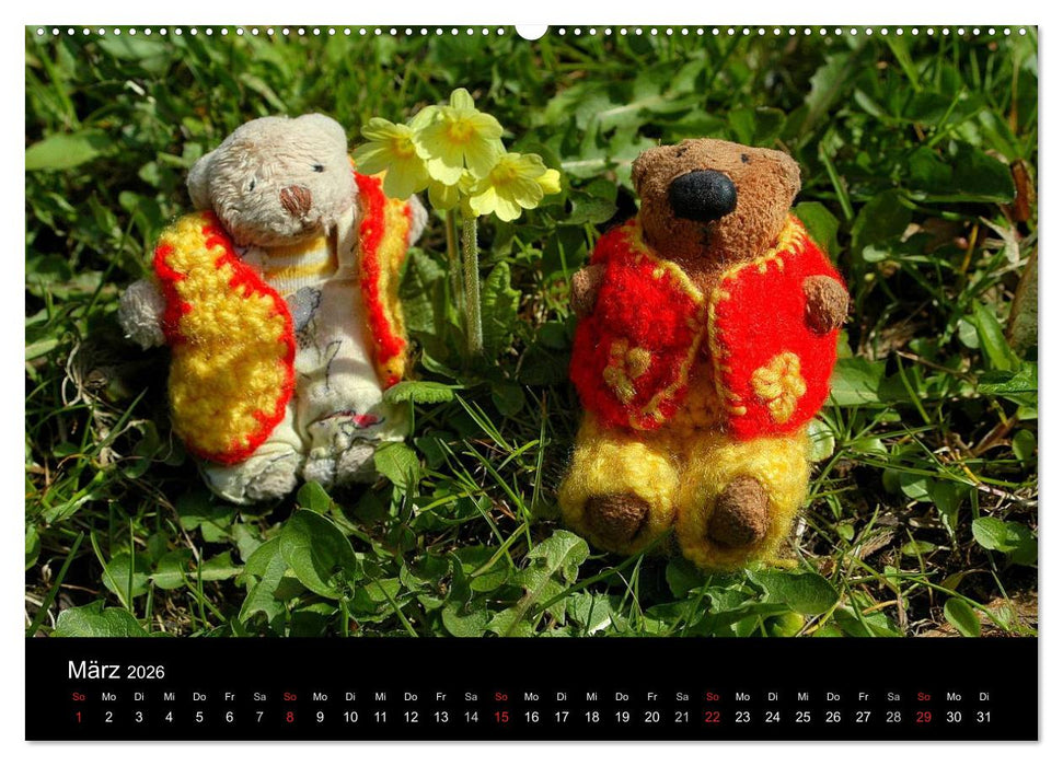 Der Bärchenkalender 2026 (CALVENDO Premium Wandkalender 2026)