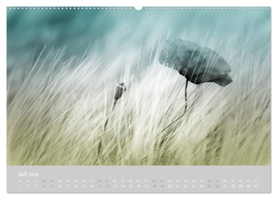 Zauber des Mohns (CALVENDO Premium Wandkalender 2026)