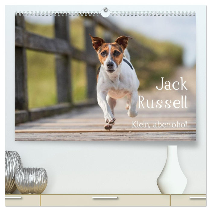Jack Russell - Klein, aber oho! (CALVENDO Premium Wandkalender 2026)
