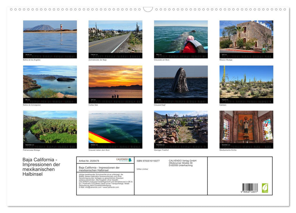 Baja California - Impressionen der mexikanischen Halbinsel (CALVENDO Wandkalender 2026)