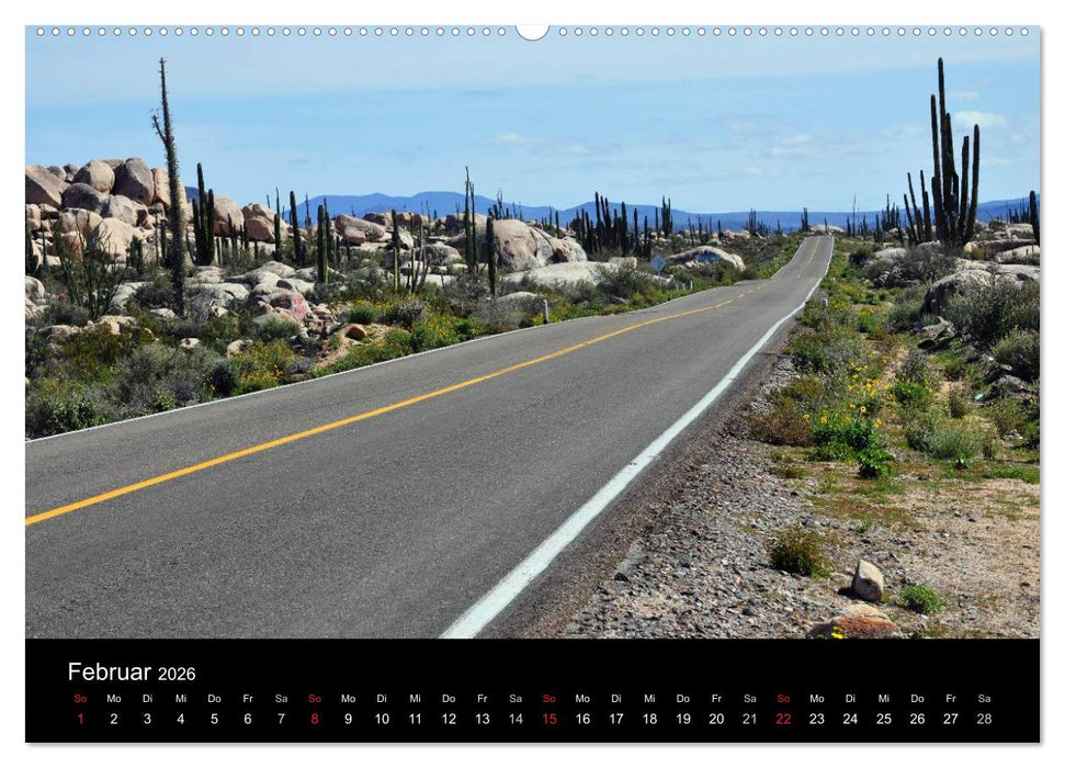 Baja California - Impressionen der mexikanischen Halbinsel (CALVENDO Wandkalender 2026)