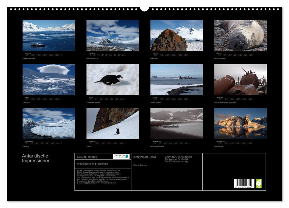 Antarktische Impressionen (CALVENDO Wandkalender 2026)