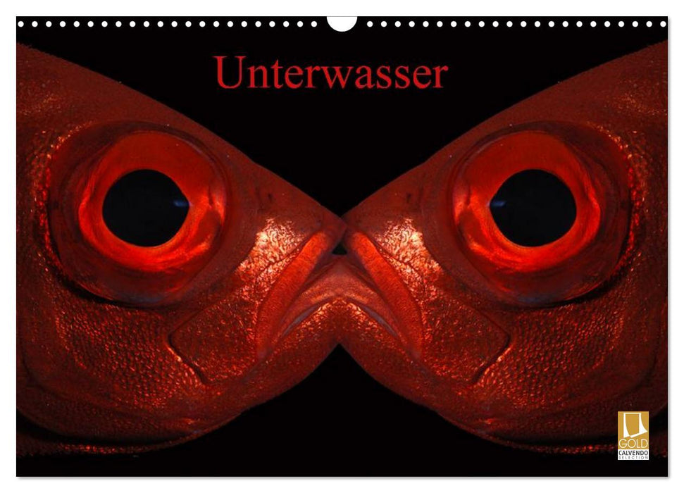 Unterwasser (CALVENDO Wandkalender 2026)