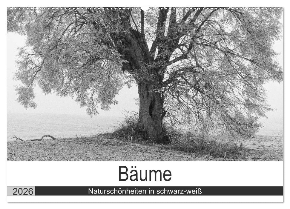 Bäume - Naturschönheiten in schwarz-weiß (CALVENDO Wandkalender 2026)