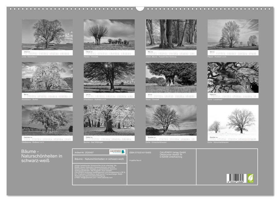 Bäume - Naturschönheiten in schwarz-weiß (CALVENDO Wandkalender 2026)
