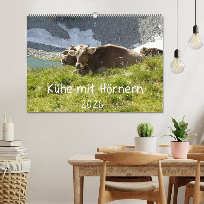 Kühe mit Hörnern (CALVENDO Wandkalender 2026)