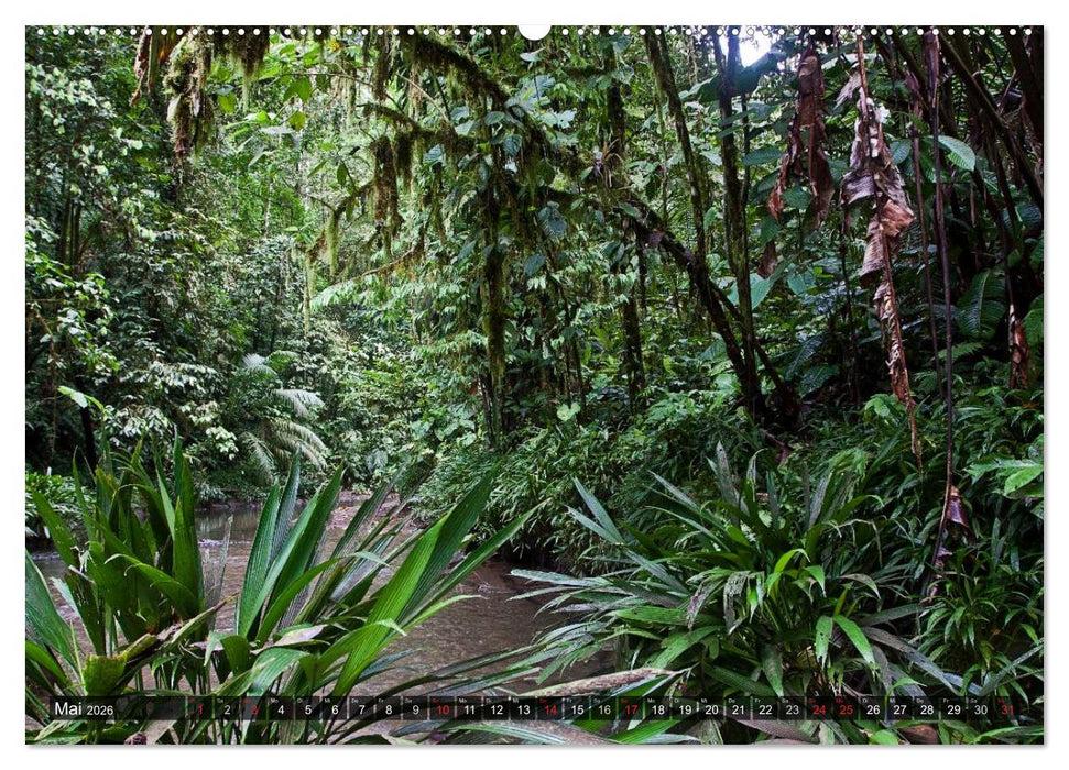 Kolumbien Impressionen (CALVENDO Wandkalender 2026)