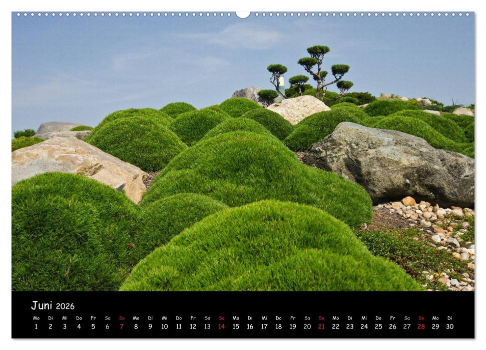 Findlingspark Nochten 2026 (CALVENDO Premium Wandkalender 2026)