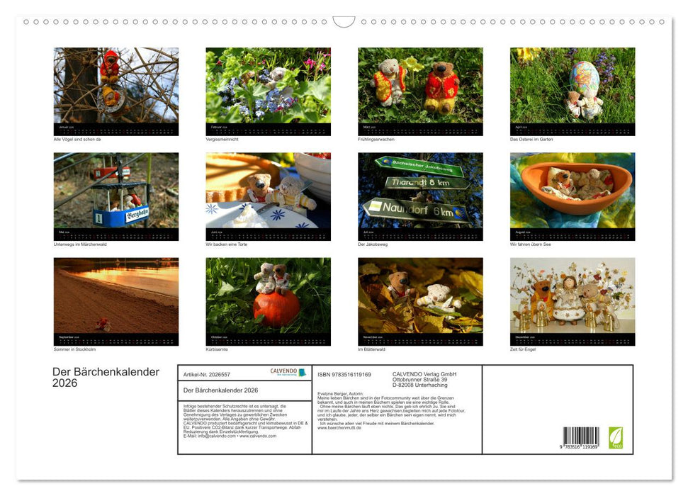 Der Bärchenkalender 2026 (CALVENDO Wandkalender 2026)