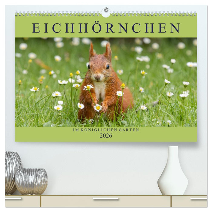Eichhörnchen im Königlichen Garten (CALVENDO Premium Wandkalender 2026)