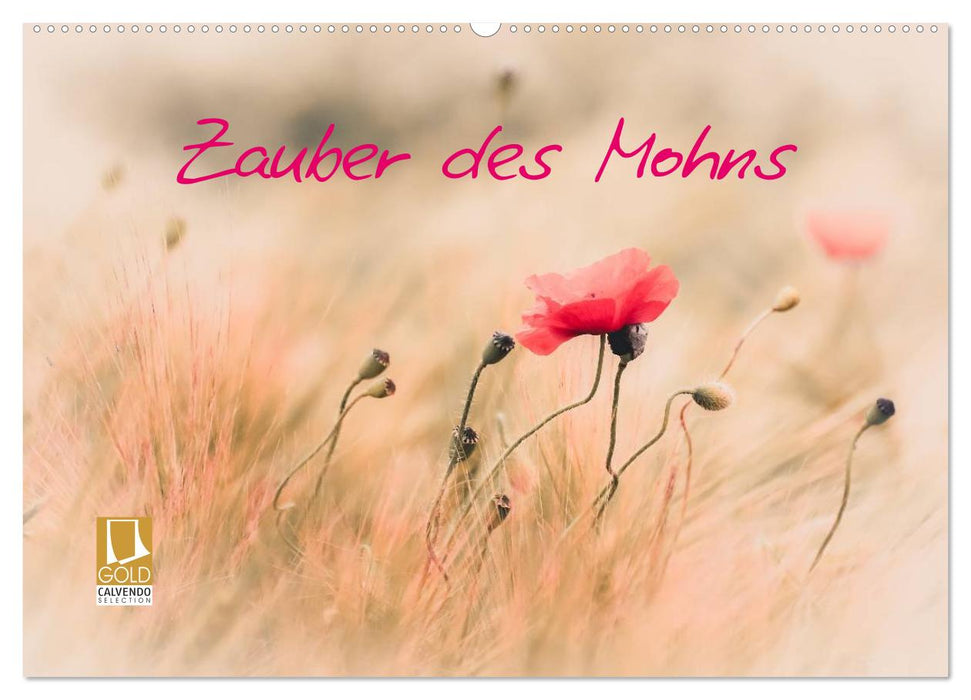 Zauber des Mohns (CALVENDO Wandkalender 2026)