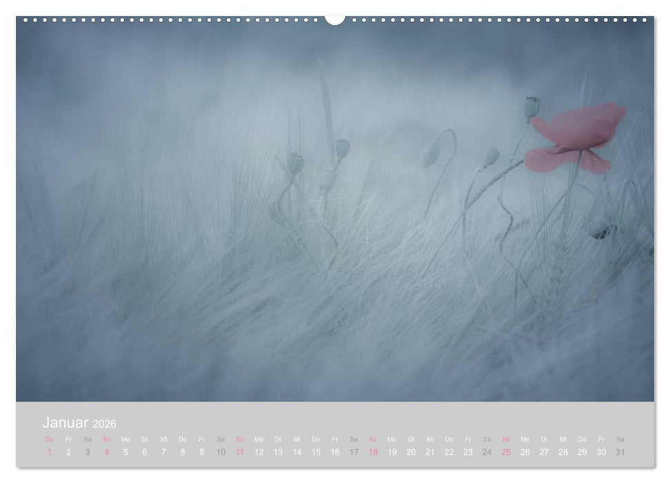 Zauber des Mohns (CALVENDO Wandkalender 2026)