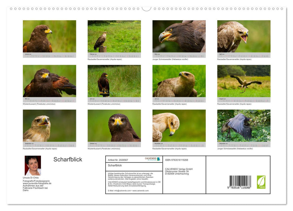 Scharfblick (CALVENDO Premium Wandkalender 2026)