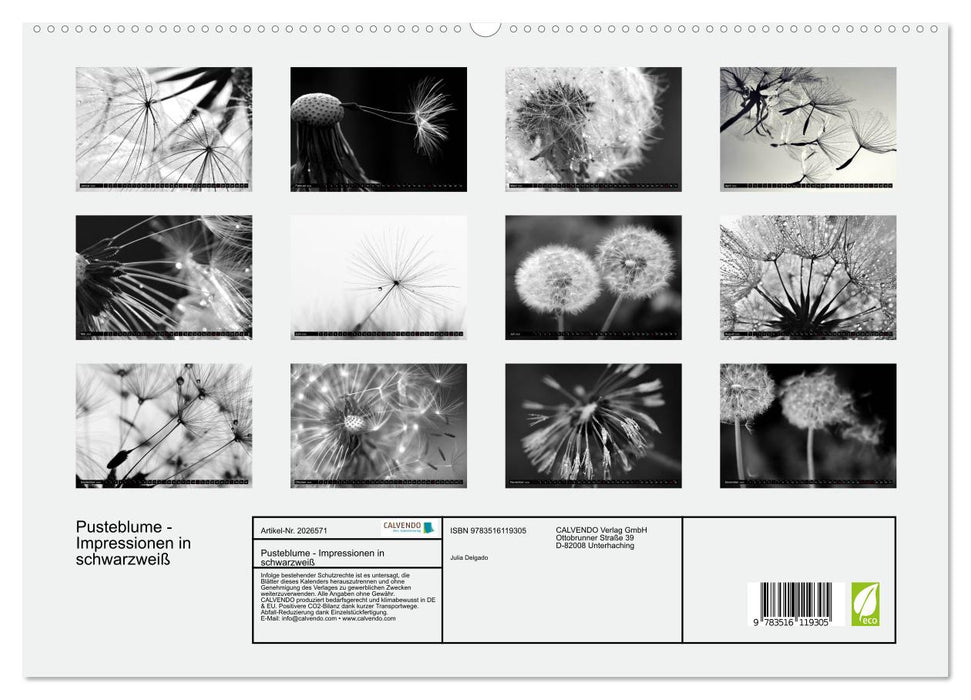 Pusteblume - Impressionen in schwarzweiß (CALVENDO Premium Wandkalender 2026)