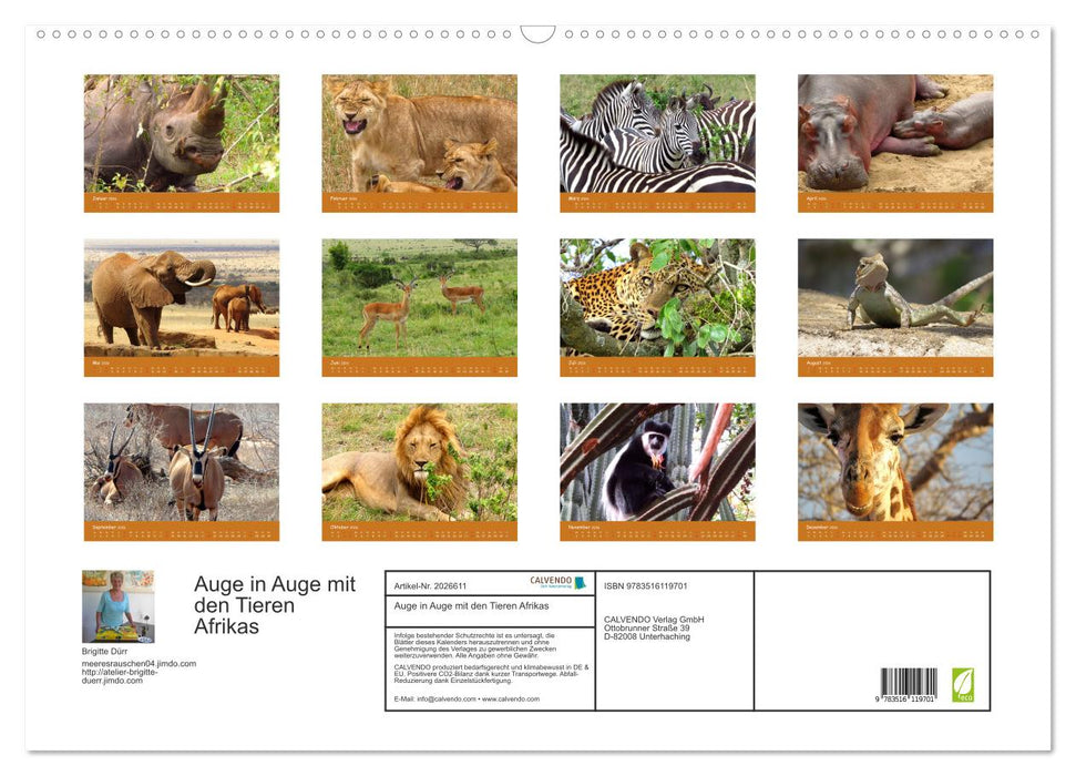 Auge in Auge mit den Tieren Afrikas (CALVENDO Wandkalender 2026)