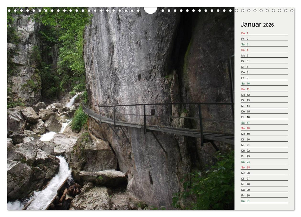 Schwangauer Momente (CALVENDO Wandkalender 2026)