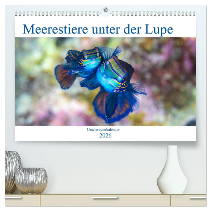 Meerestiere unter der Lupe - Unterwasserkalender (CALVENDO Premium Wandkalender 2026)