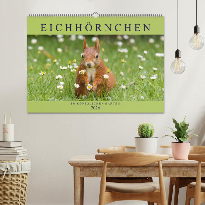 Eichhörnchen im Königlichen Garten (CALVENDO Wandkalender 2026)