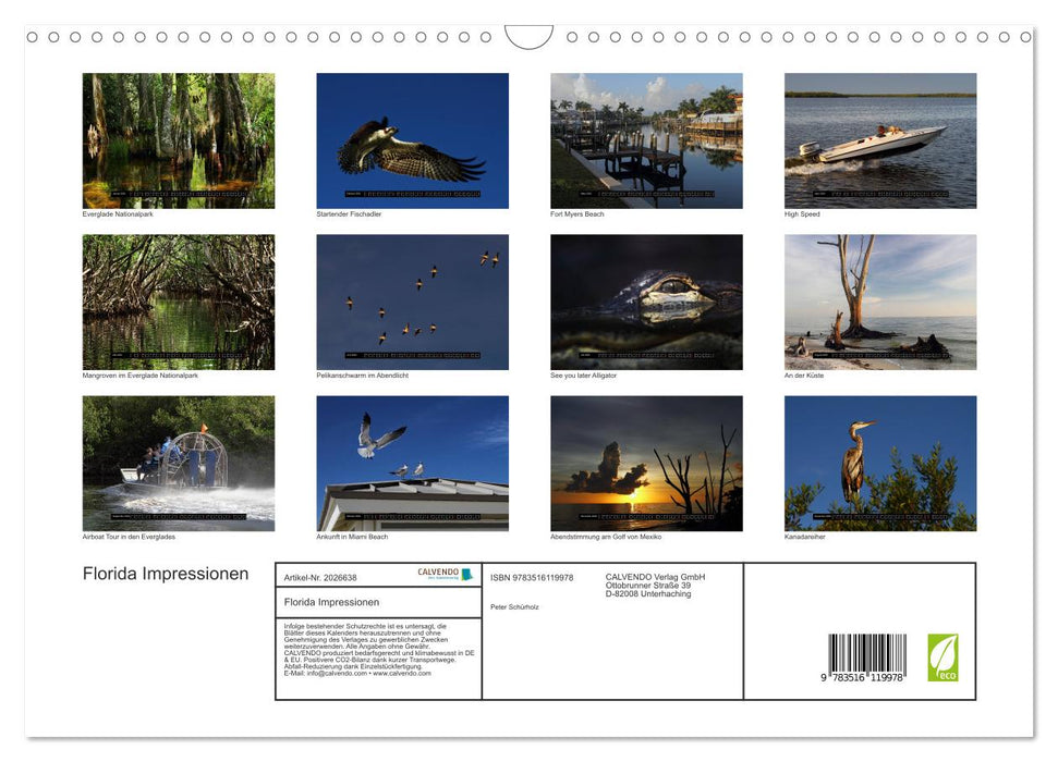 Florida Impressionen (CALVENDO Wandkalender 2026)