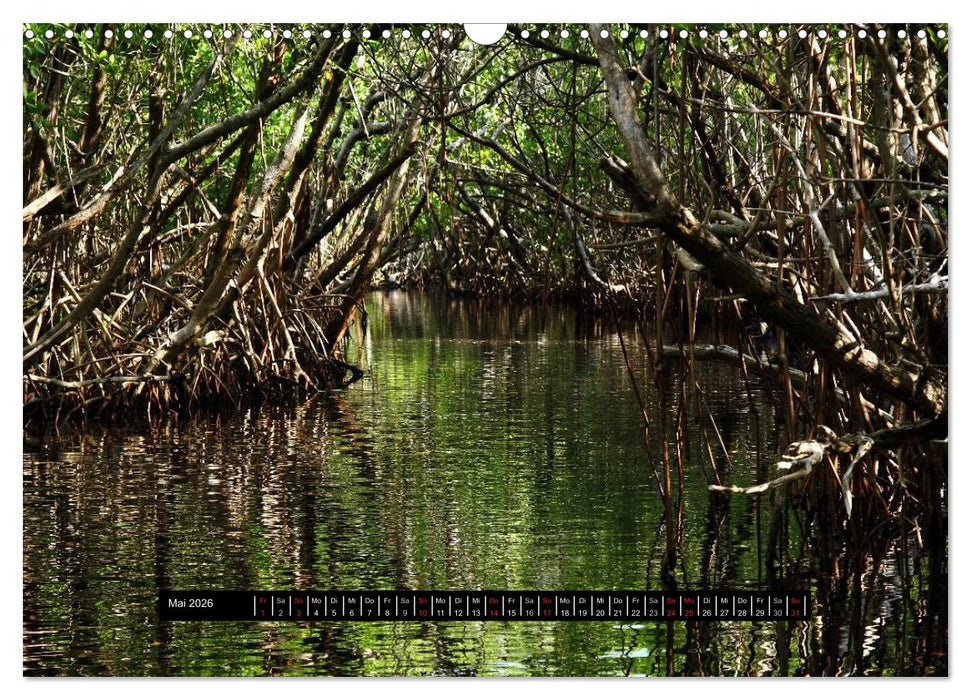 Florida Impressionen (CALVENDO Wandkalender 2026)