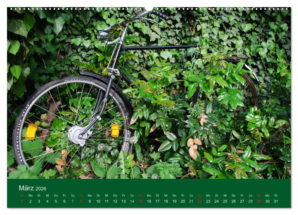 Das Fahrrad 2026 (CALVENDO Wandkalender 2026)