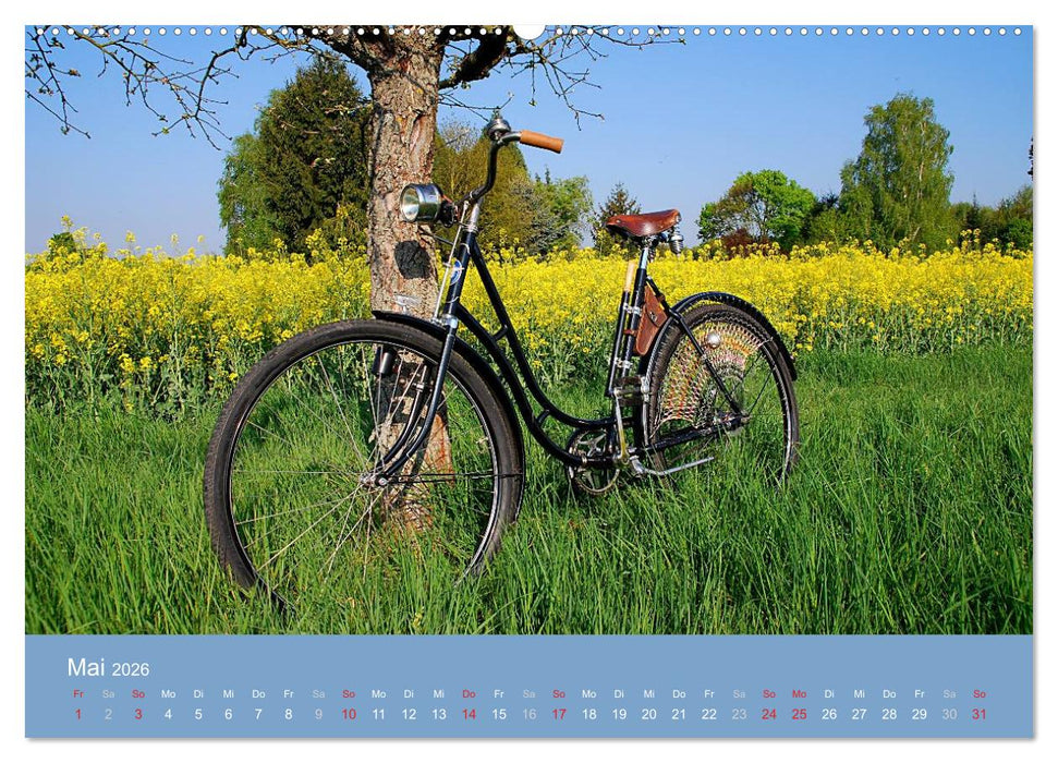 Das Fahrrad 2026 (CALVENDO Wandkalender 2026)