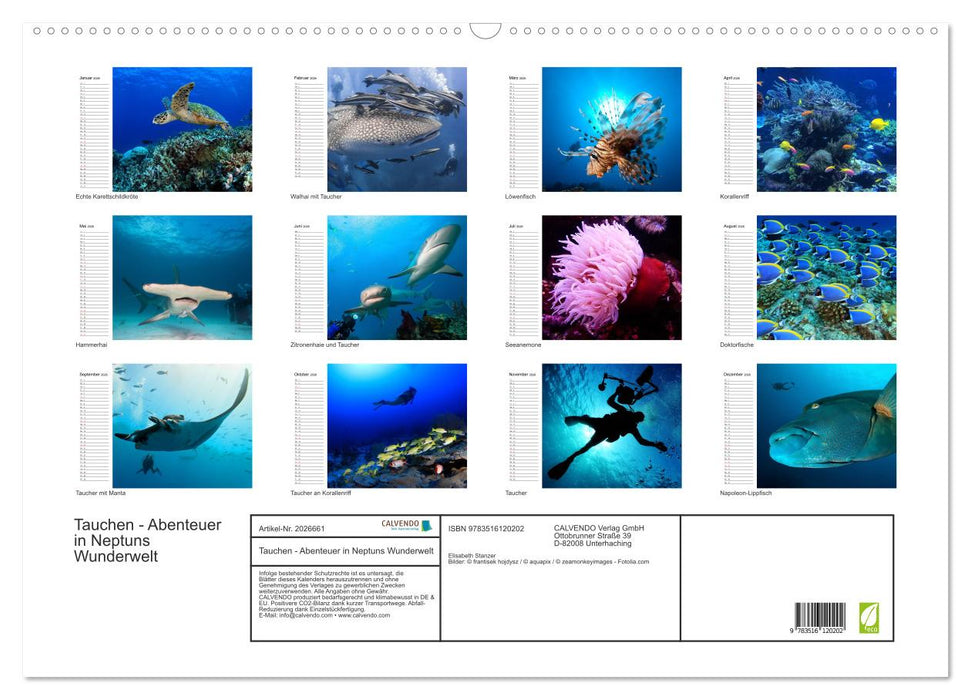 Tauchen - Abenteuer in Neptuns Wunderwelt (CALVENDO Wandkalender 2026)