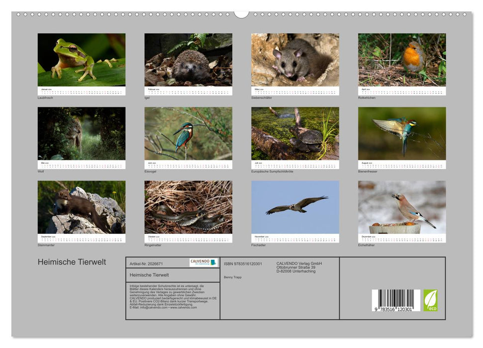 Heimische Tierwelt (CALVENDO Premium Wandkalender 2026)
