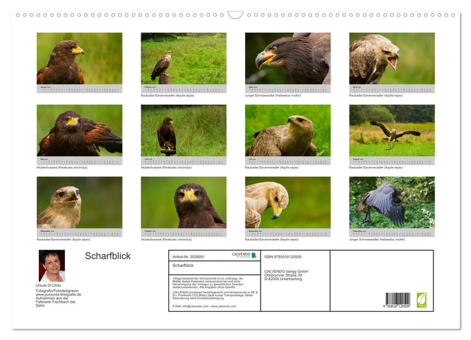 Scharfblick (CALVENDO Wandkalender 2026)