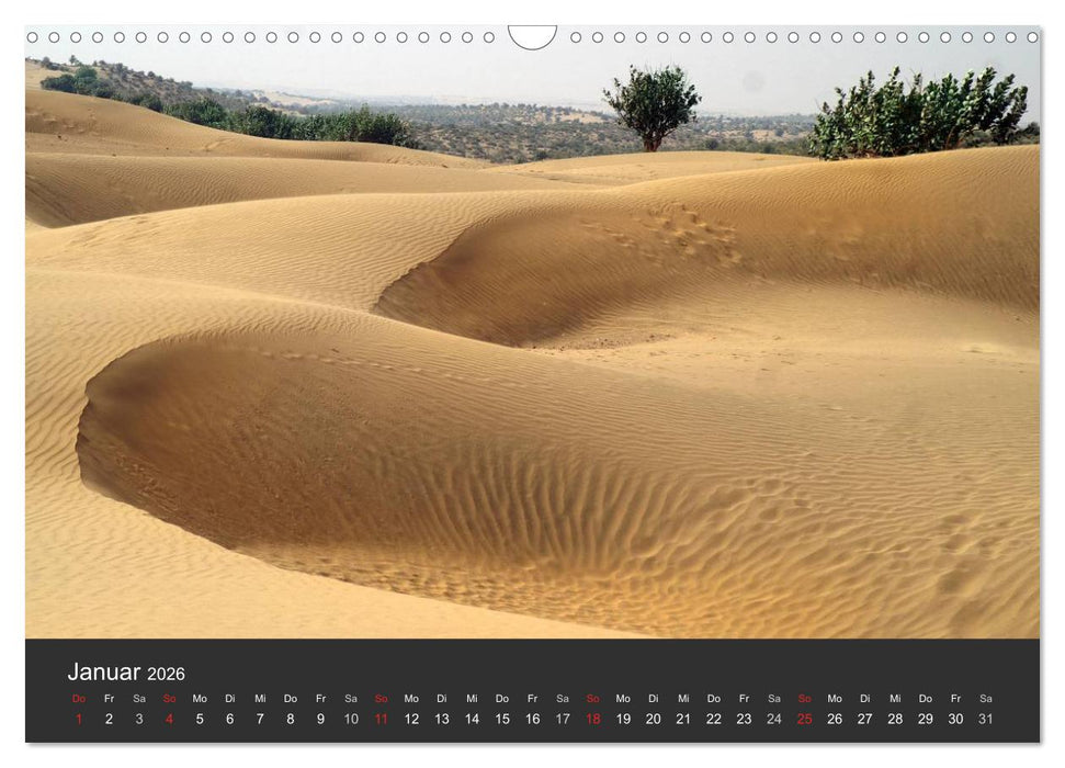 Wüsten, wilde Schönheiten (CALVENDO Wandkalender 2026)