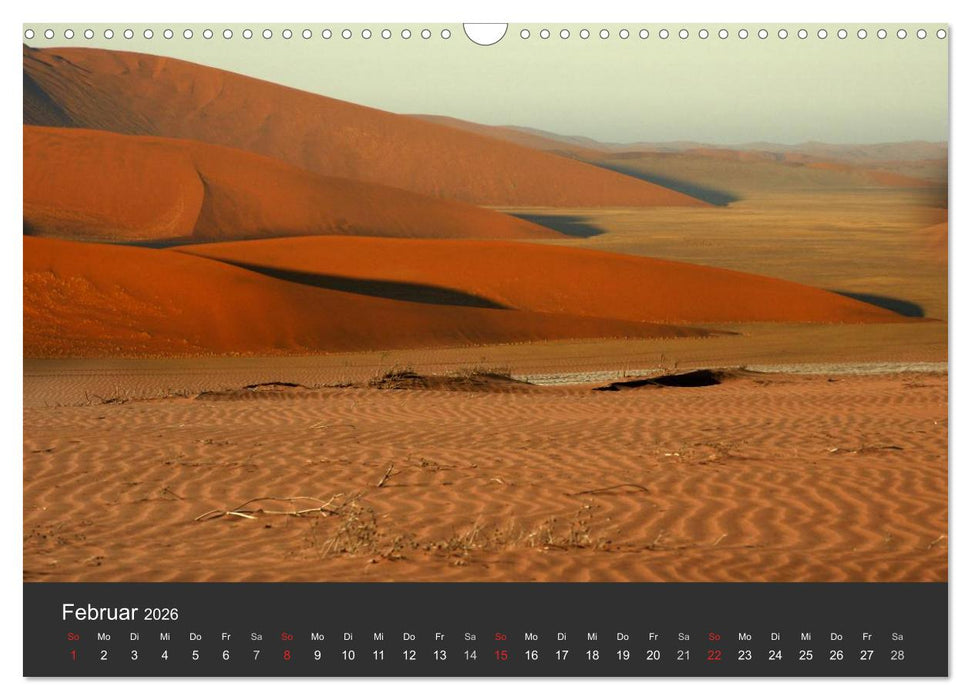 Wüsten, wilde Schönheiten (CALVENDO Wandkalender 2026)